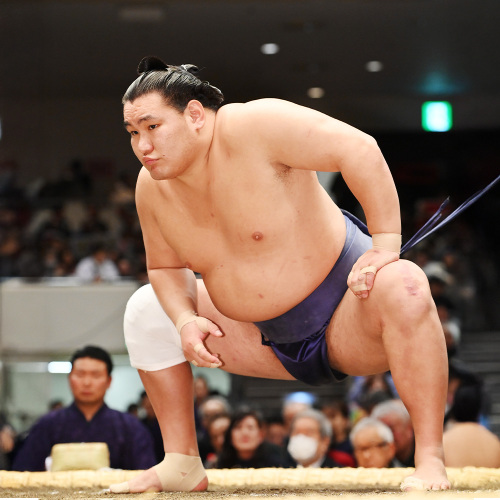 大相撲冬巡業　東大阪場所　たまりＳ席 弁当&記念座布団付き 公式】大相撲 東大阪場所 令和七年 冬巡業