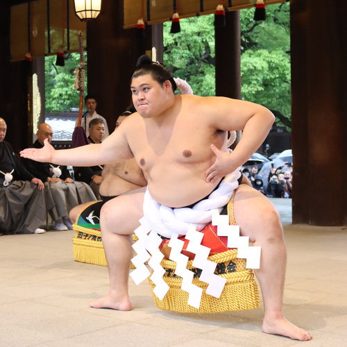 公式】大相撲 東大阪場所 令和七年 冬巡業