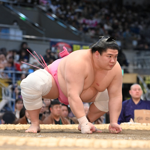 FAQ・お問い合わせ ｜ 【公式】大相撲 東大阪場所 令和七年 冬巡業